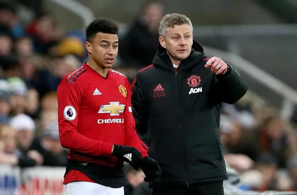 尔的追求实 尔的追求实